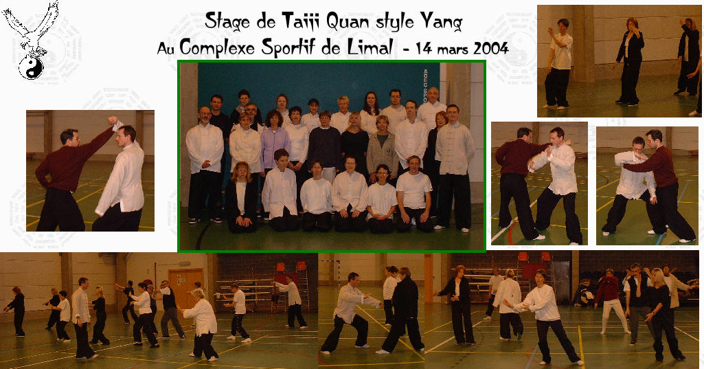 2004-03 taiji yang