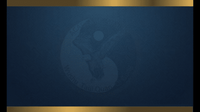 Ma wang dui partie 2 low