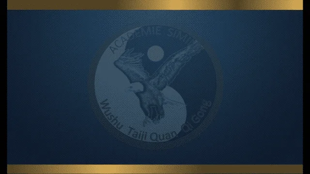 Yang 24 se quence 11 low